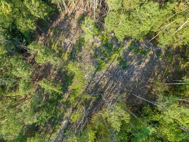 Remarkable opportunity to own water frontage and an island on - photo 24