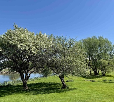 Situated on approximately 50 acres with the Little River winding - photo 6