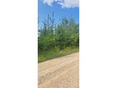  Lot For Sale in Beaverton Michigan