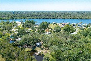 Step into the charm of Old Homosassa with this beautifully - photo 13
