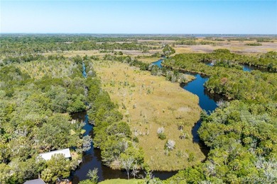 Step into the charm of Old Homosassa with this beautifully - photo 17