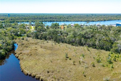 Step into the charm of Old Homosassa with this beautifully - photo 18