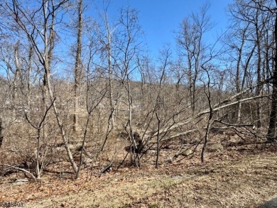 Lake Lot For Sale in Hopatcong, New Jersey