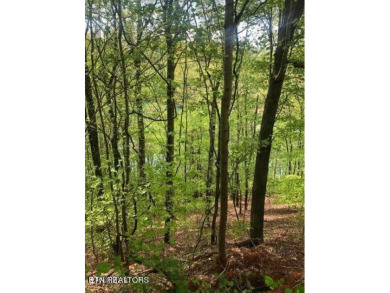 Lake Lot For Sale in Washburn, Tennessee