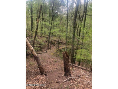 Clinch River - Claiborne County Lot For Sale in Washburn Tennessee