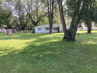 Bear Lake Home For Sale in Lake Michigan