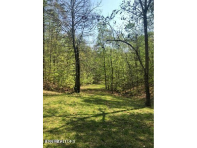 Clinch River - Hancock County Lot For Sale in Washburn Tennessee