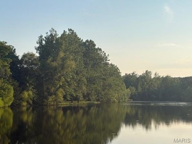 Lake Lot For Sale in Unincorporated, Missouri