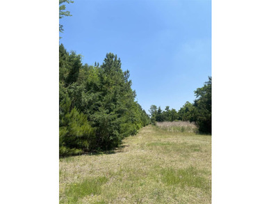An extraordinary opportunity to own 167 acres with over a - photo 14
