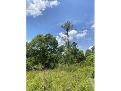 An extraordinary opportunity to own 167 acres with over a - photo 15