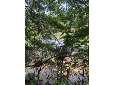 An extraordinary opportunity to own 167 acres with over a - photo 17