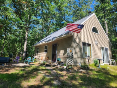 Lake Home Sale Pending in Baldwin, Michigan