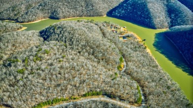 Powell River Acreage For Sale in Speedwell Tennessee