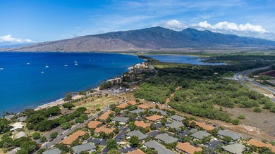 Move in worry-free - seller is gifting buyers a 1-Year Home - photo 48