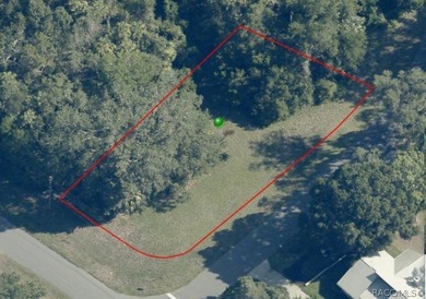 Homosassa River Lot Sale Pending in Homosassa Florida