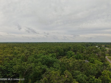Located in Richland Parish near Delhi, Louisiana, this - photo 2
