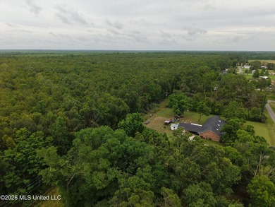 Located in Richland Parish near Delhi, Louisiana, this - photo 4