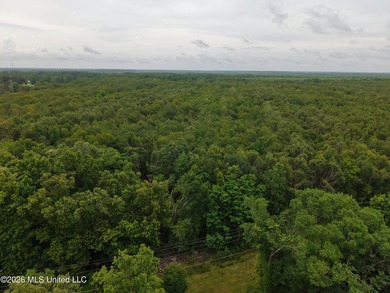 Located in Richland Parish near Delhi, Louisiana, this - photo 5