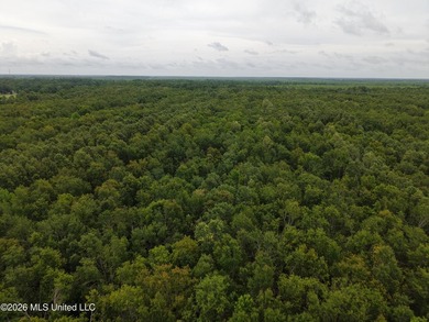 Located in Richland Parish near Delhi, Louisiana, this - photo 6