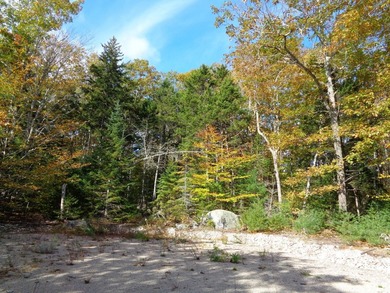 Developers, take notice. Close to many lakes and ponds, this is - photo 6