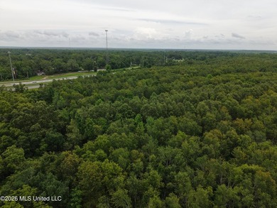 Located in Richland Parish near Delhi, Louisiana, this - photo 7