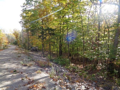 Developers, take notice. Close to many lakes and ponds, this is - photo 7
