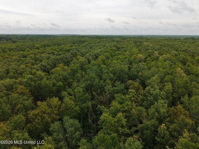Located in Richland Parish near Delhi, Louisiana, this - photo 8