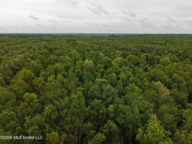 Located in Richland Parish near Delhi, Louisiana, this - photo 9