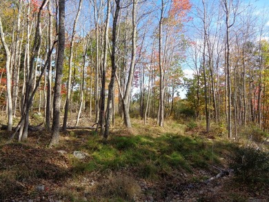 Developers, take notice. Close to many lakes and ponds, this is - photo 9