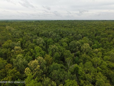 Located in Richland Parish near Delhi, Louisiana, this - photo 10