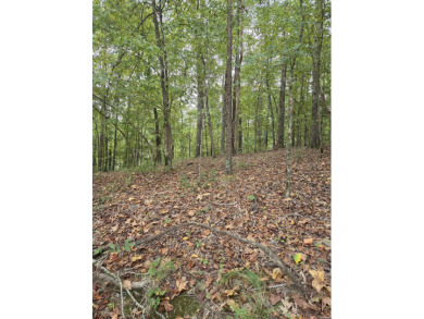 Lake Catherine Lot For Sale in Hot Springs Arkansas