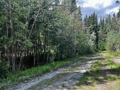 Salcha River Lot For Sale in Delta Junction Alaska
