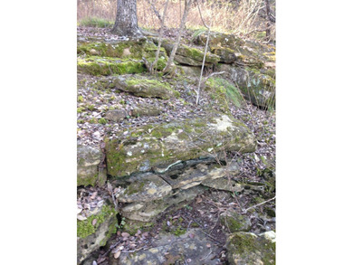 Scenic five acre lot that is level at the street yet rises up - photo 3