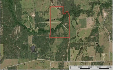 (private lake, pond, creek) Acreage For Sale in Cistern Texas