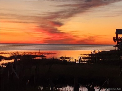 Located at 1860 Ezell Beach Rd in the heart of Keaton Beach - photo 1