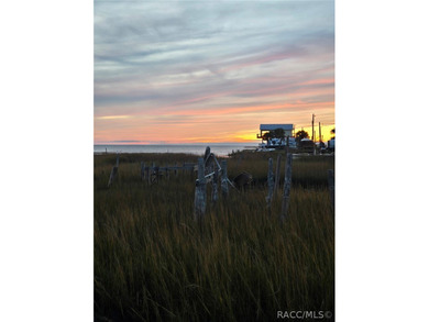 Located at 1860 Ezell Beach Rd in the heart of Keaton Beach - photo 8