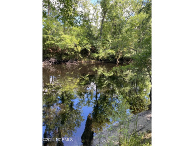 (private lake, pond, creek) Lot For Sale in Burgaw North Carolina