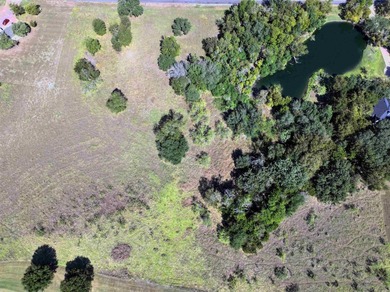 Build your dream home on this level, 1-acre golf course front - photo 20