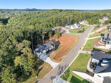 LUXURY NEW CONSTRUCTION IN THE RESERVE CLUB & MARINA AT LAKE - photo 47