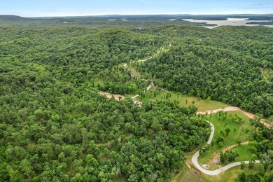 Exceptional Beaver Lake Property. Dubbed 'Hilltop Ranch at - photo 3