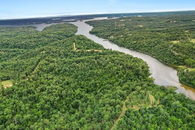 Exceptional Beaver Lake Property. Dubbed 'Hilltop Ranch at - photo 4