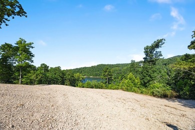 Exceptional Beaver Lake Property. Dubbed 'Hilltop Ranch at - photo 5