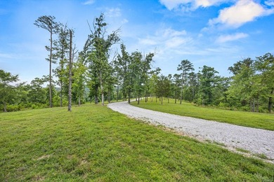 Exceptional Beaver Lake Property. Dubbed 'Hilltop Ranch at - photo 6