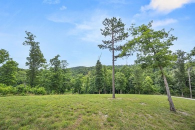 Exceptional Beaver Lake Property. Dubbed 'Hilltop Ranch at - photo 9