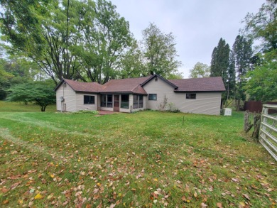 Lake Home For Sale in Hastings, Michigan