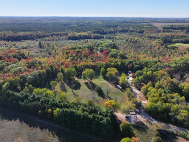 Lake Home For Sale in Walkerville, Michigan