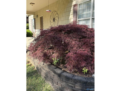 Welcome to this beautifully maintained 3 bedroom/3 and 1/2 bath - photo 25