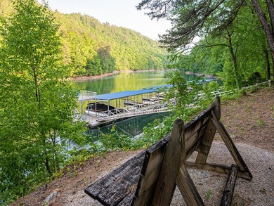 Perched above the pristine waters of Lake Fontana, this - photo 41