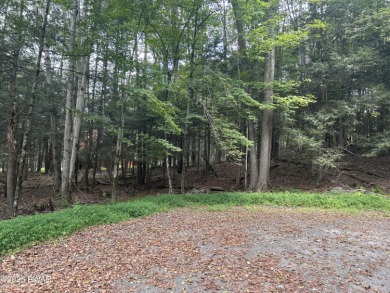 Lake Lot For Sale in Lake Ariel, Pennsylvania