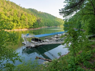 Perched above the pristine waters of Lake Fontana, this - photo 42